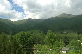 Maggie Valley Bed & Breakfast | Holly Tree Bed & Breakfast - Orchard View Room