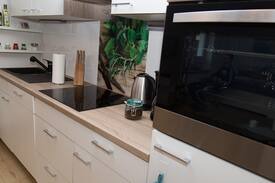 Albisheim Apartment | Ferienwohnung im Zellertal/Paul