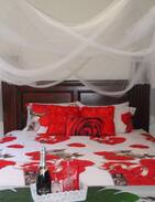 Morrinsville House | Valentine Room