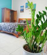 Son Tra Apartment | Apartment nearby Pham Van Dong Beach & Convenient