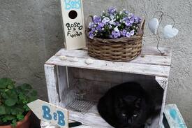 Malgesso Bed & Breakfast | Lake Maggiore Flowery Woods