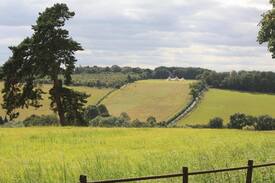 Rickmansworth Bed & Breakfast | Family Friendly Farm B&B, single room only, £65.00