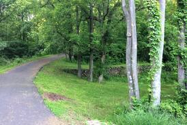 Linden House | Virginia Wine Country Retreat 60 mi. from DC