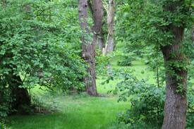 New Forest District Apartment | New Forest Retreat in Private Woodlands