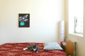 Bushwick Apartment | Large Sunlit Room-Quick Commute to Manhattan/NYC!