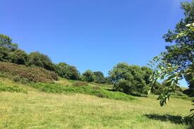 Axmouth House | Wyldlore Cottage
