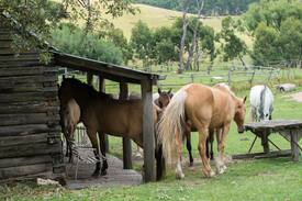 Anglers Rest Other | The Willows Cattleman's Log Hut