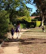 Mawson House | Holiday home away from home in the Bush Capital.