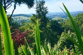 Lydbrook Cabin | Picture perfect cottage with stunning views