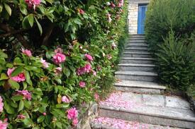 Reno House | Villa Maria Lago Maggiore Cottage
