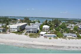 Englewood House | Blue Dolphin on the beach! Sharks teeth, Shells!
