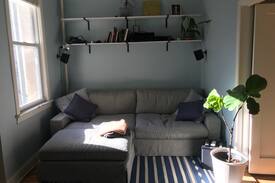 Crown Heights Apartment | Prospect Heights - Large Sunny Apt