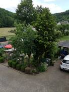 Niedererbach Apartment | Natur pur und trotzdem zentral