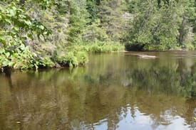 Minden Hills Cabin | Lazy River Cottage - Minden Hills