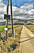 Breede Valley House | Damhuis, winefarm living, Rawsonville,