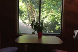 Bellingham House | The Chuckanut “Treehouse”
