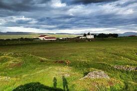 Husavik Bed & Breakfast | Guesthouse Gardur-Family room 4 p.