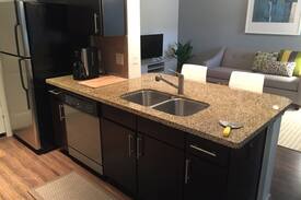 Midtown Apartment | Modern Midtown/Montrose Apartment (#3206)