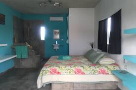 Colonia Maravilla House | Villa 7 chambre