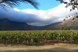 Breede Valley House | Damhuis, winefarm living, Rawsonville,