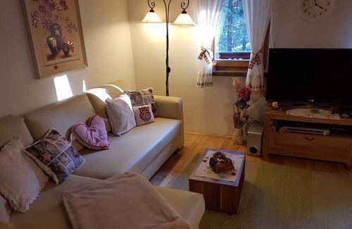 Lokve House | Holiday home Forest paradise