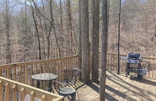 Slade House | Bird Nest Cabin: A Charming Hideaway Close to Natural Bridge, Dining, and Trails