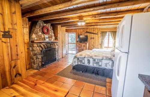 Evergreen Cabin | Colorado Bear Creek Cabin 7