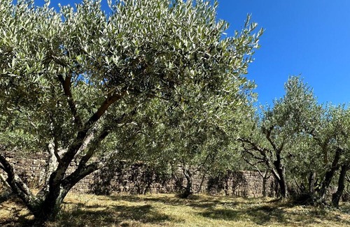 Oprtalj Cottage | Charming 2-bedroom cottage with swimmingpool in welcoming Oprtalj with WiFi, AC