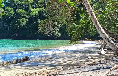 Cahuita House | Caribbeans Beach Cahuita Beach vacation home