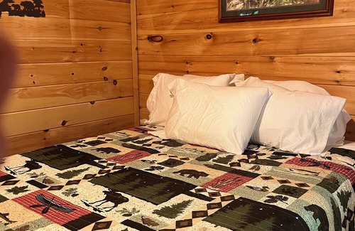 Bingham Cabin | Cozy 1 bedroom cabin with a loft, living space with internet, and a creek!