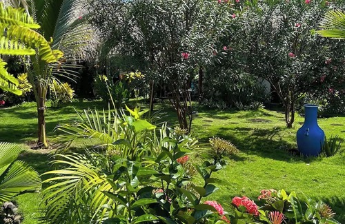 El Paredon House | Tucanes Bungalow with kitchen and private pool