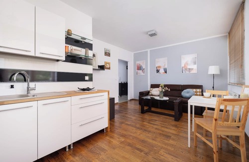 Chorzow Apartment | Działkowa Apartment Chorzów by Renters