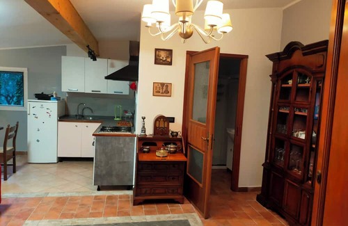 Castellaro House | Peace and calm among the seven hundred olive trees