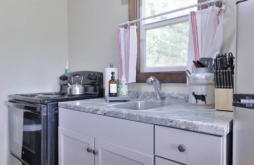 Buffalo Gap Cabin | Cozy 1 bd cabin "The Cowboy", on Christmas tree farm near Perini Ranch
