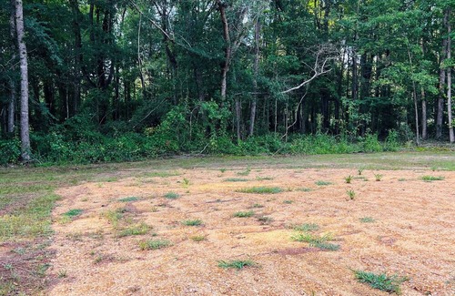 Grady RV Rental | Enjoy the peaceful country scenery and the serenity of being one with nature!