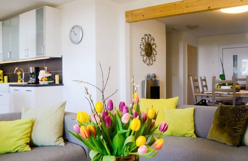 Uehlingen-Birkendorf House | In the singer's house, a modern retreat