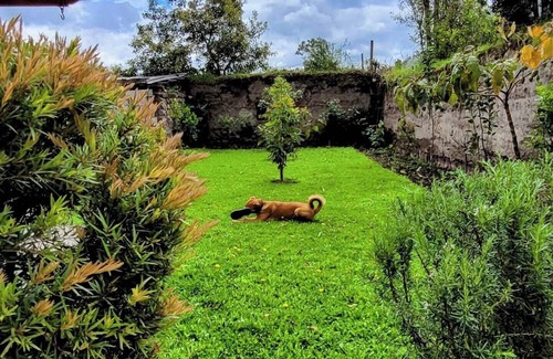 San Pablo del Lago Cottage | Refugio Cumandá - Country house