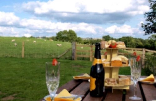 Witton-le-Wear Cottage | Plum Tree Holiday Cottage