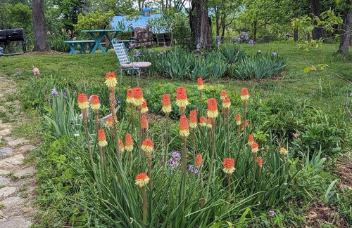 Blacksburg House | Blacksburg Apple Orchard