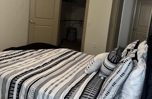 Astrodome Apartment | NRG- Med Center View