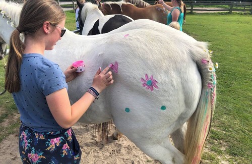 Holtgast Apartment | Wohnung 4 auf dem Ferienhof Eilts -viele Ponys und Sonstige Tiere in Nordseenähe
