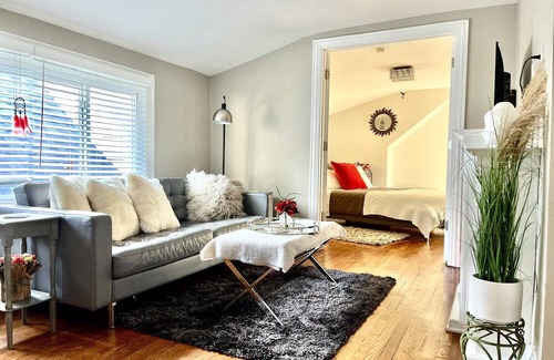 Evanston Apartment | Charming and peaceful oasis free for furries companions