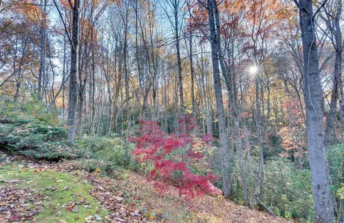 Rambling Ridge House | Rhododendron Retreat - Peaceful, Hot Tub, Waffle Bar
