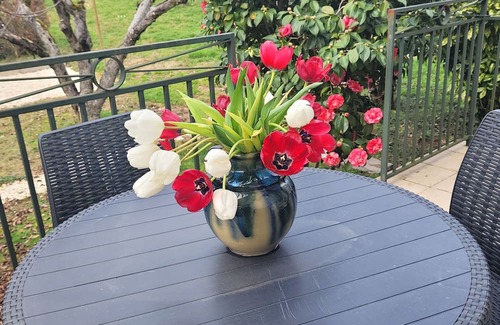 Brive-la-Gaillarde House | Maison de Ville Individuelle Avec Grand Jardin Pour des Vacances en Famille