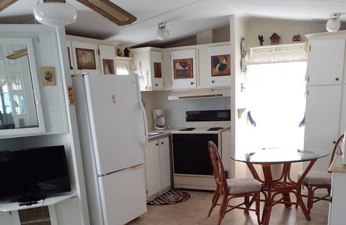 Port Richey House | Cozy Lake Front Park Model Close to beaches, golf, restaurants, shops