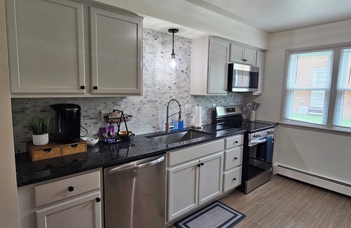 Niles Apartment | 12-On-North - Unit 528 #1