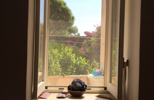Pantelleria House | The dammuso of the pines, ancient Pantelleria dammuso