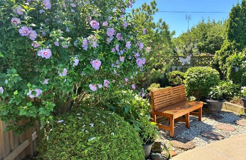 West Deane Park House | Seraya Wellness Retreat