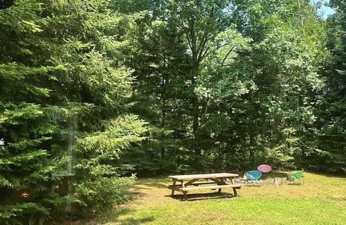 Tiny Cottage | clean all seasons cottage & pet friendly close to beaches