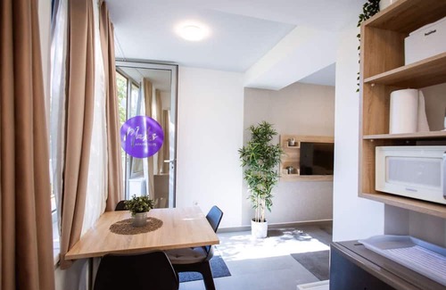 Osijek Apartment | Stylish Apartments with Osijek - Standard Studio